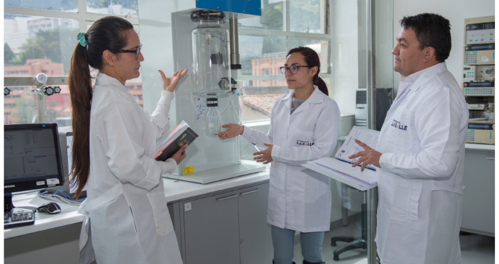 Profesores e investigadores 