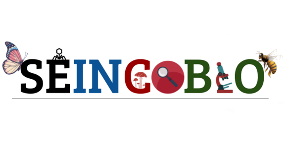 SEINCOBIO