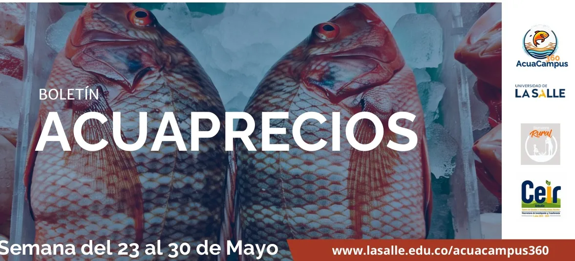 Informe de precios Acuacampus360