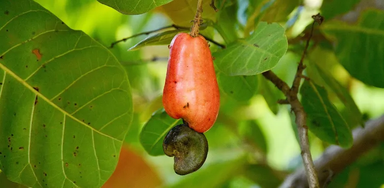 Imagen: tomada de Pixabay - ddcreativohn