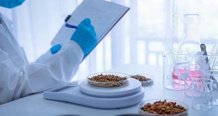 Nutrición humana
