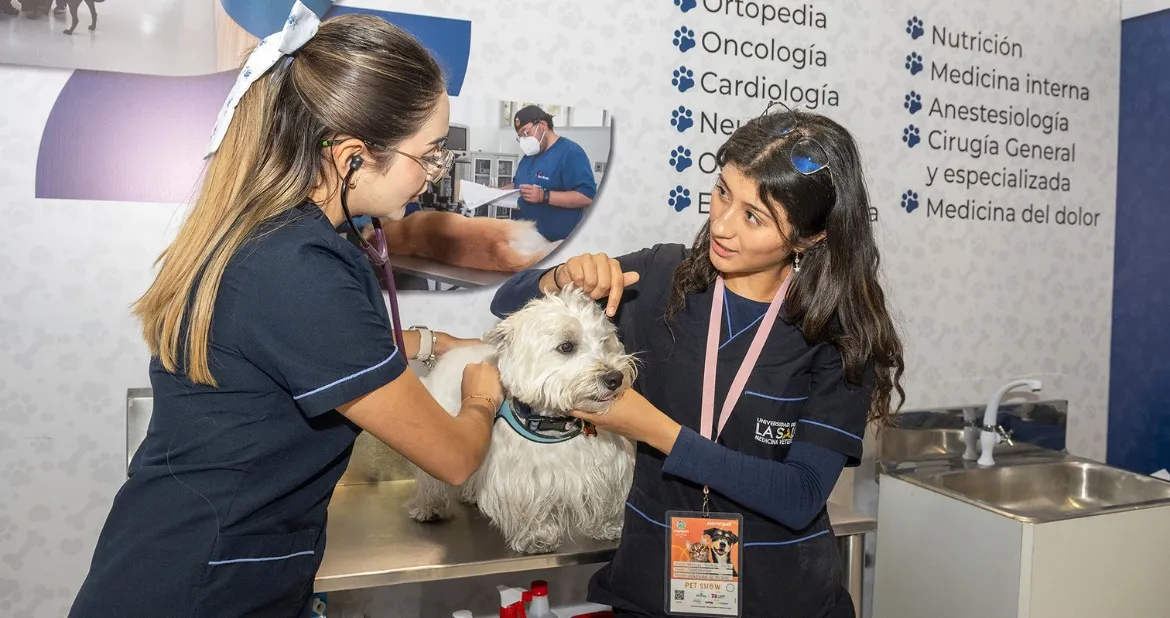 Estudiantes en Clínica Veterinaria Expopet