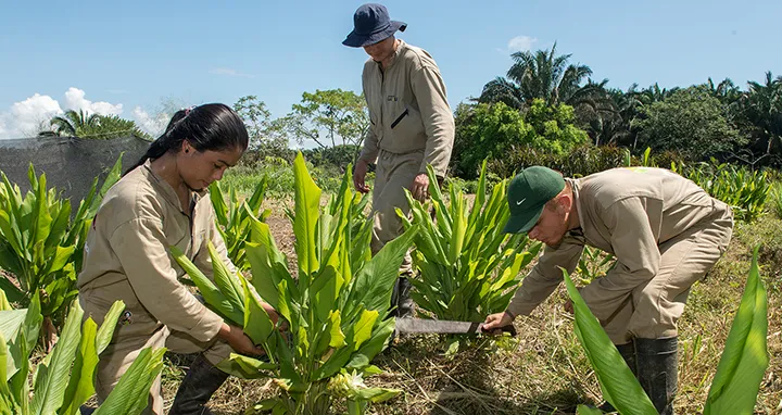 Estudiantes de Utopía sembrando