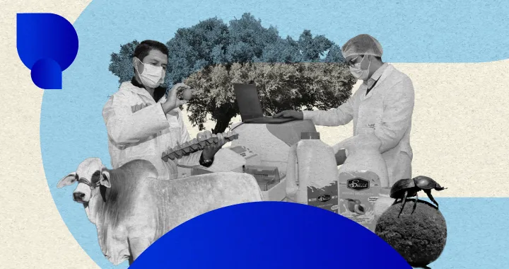 Investigación en Unisalle