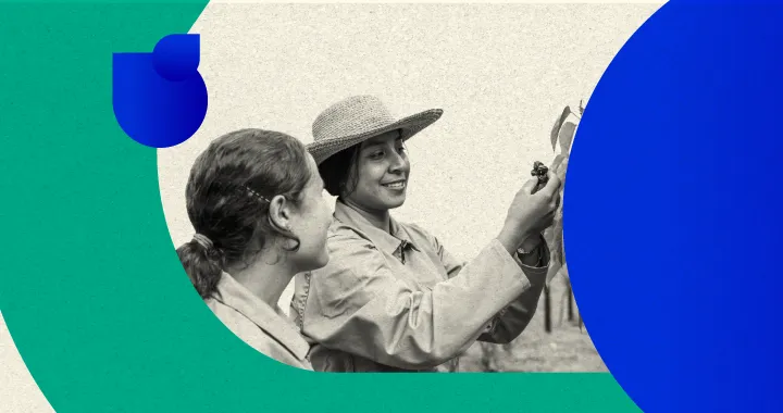 Infografía impacto en los territorios