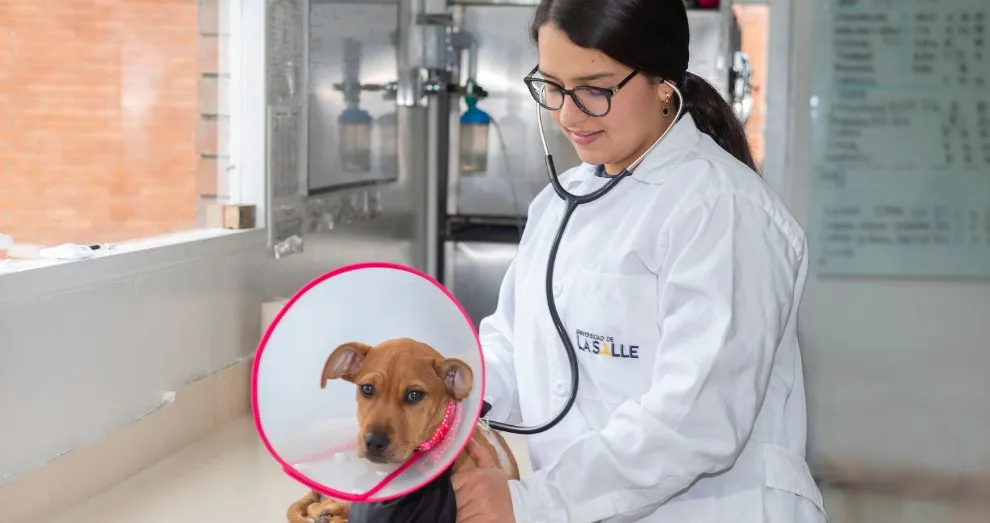 Clínica Veterinaria Unisalle