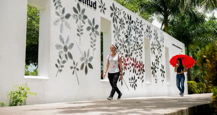 Las donaciones de gran impacto permiten consolidar proyectos estratégicos que...