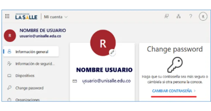 Pantalla de cuenta institucional con opciones de seguridad y cambio de...