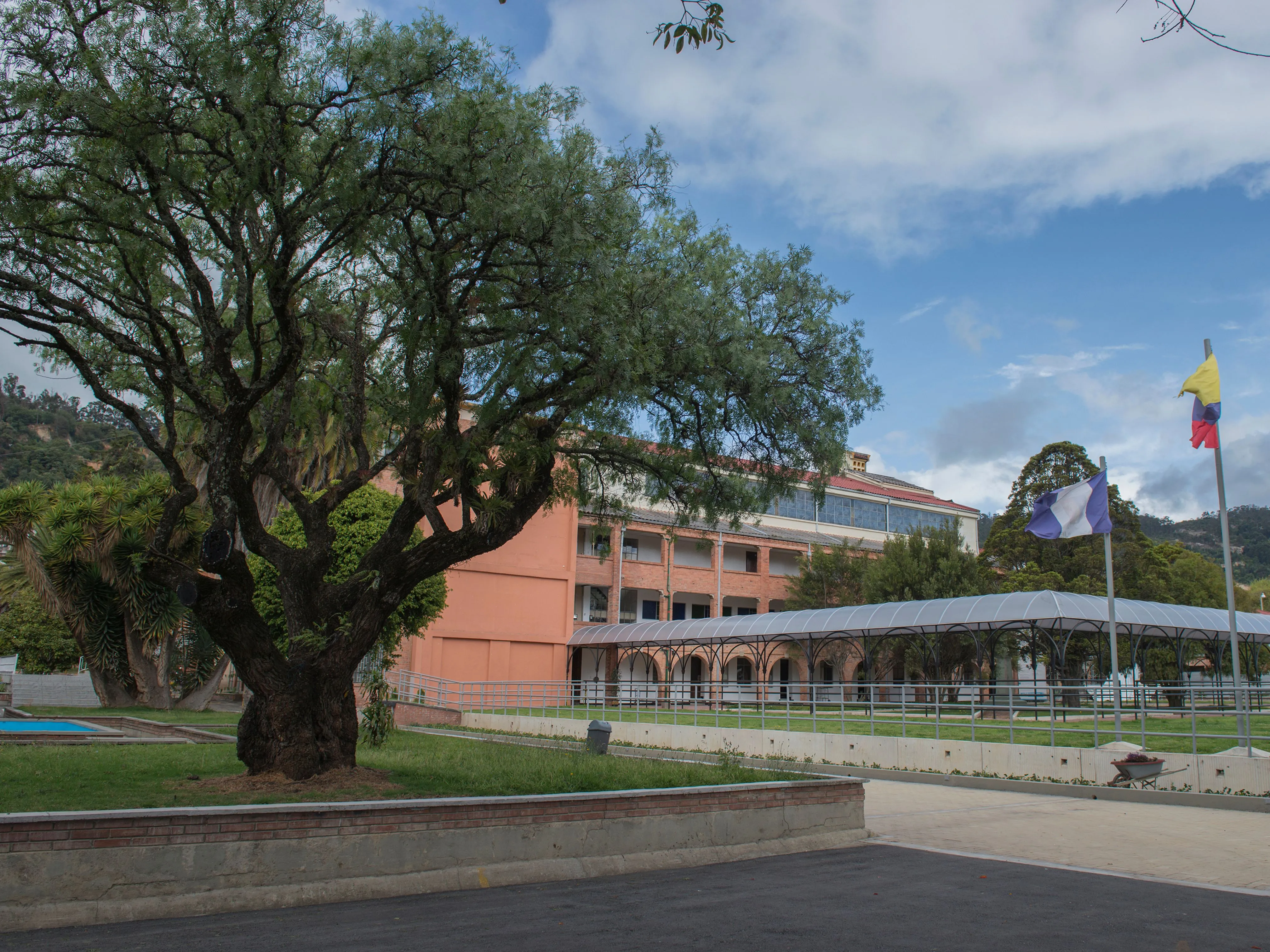 Árbol campus sede norte