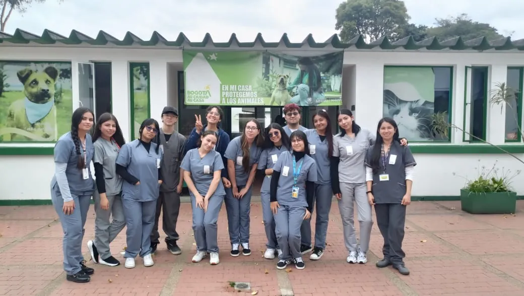 Tecnico auxiliar en clinica veterinaria