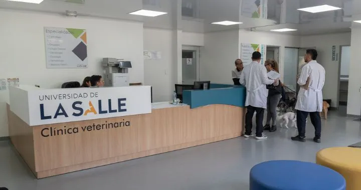 Clínica veterinaria