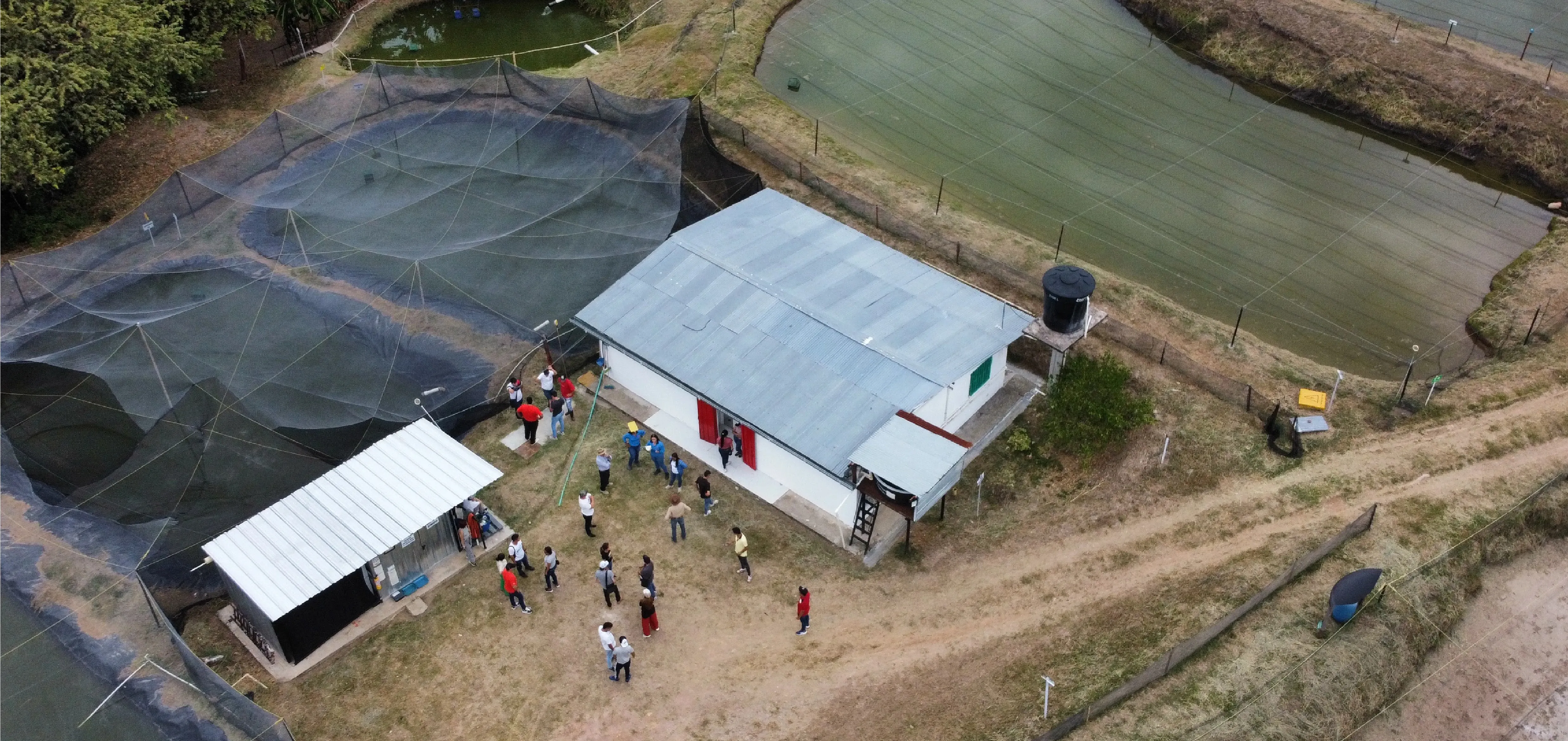 toma aérea acuicultura