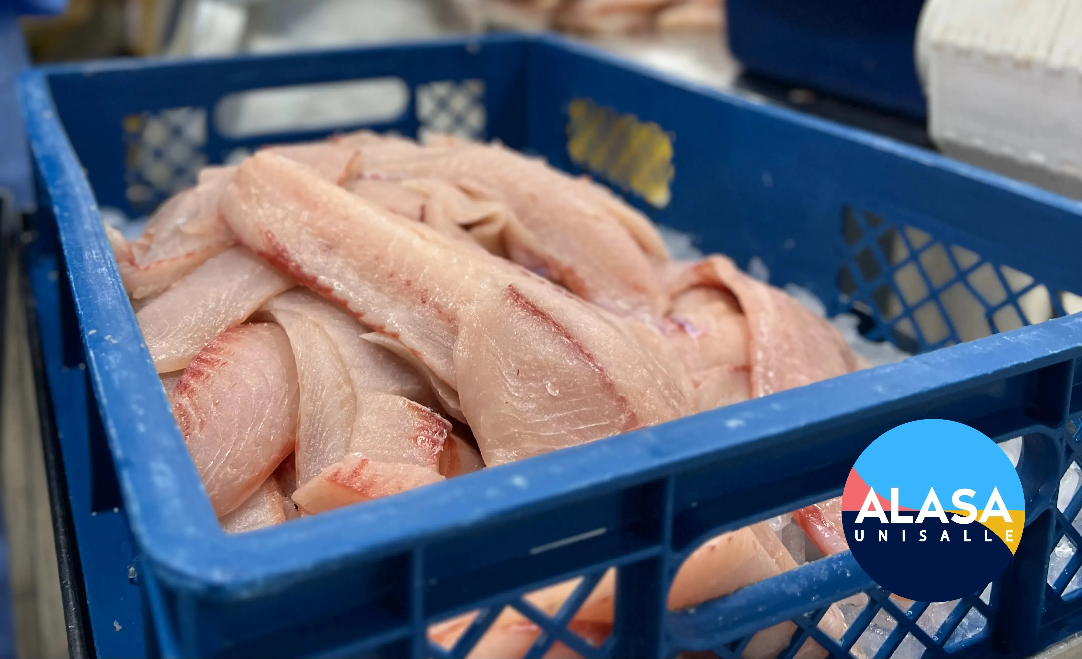 canasta de tilapia-alasa