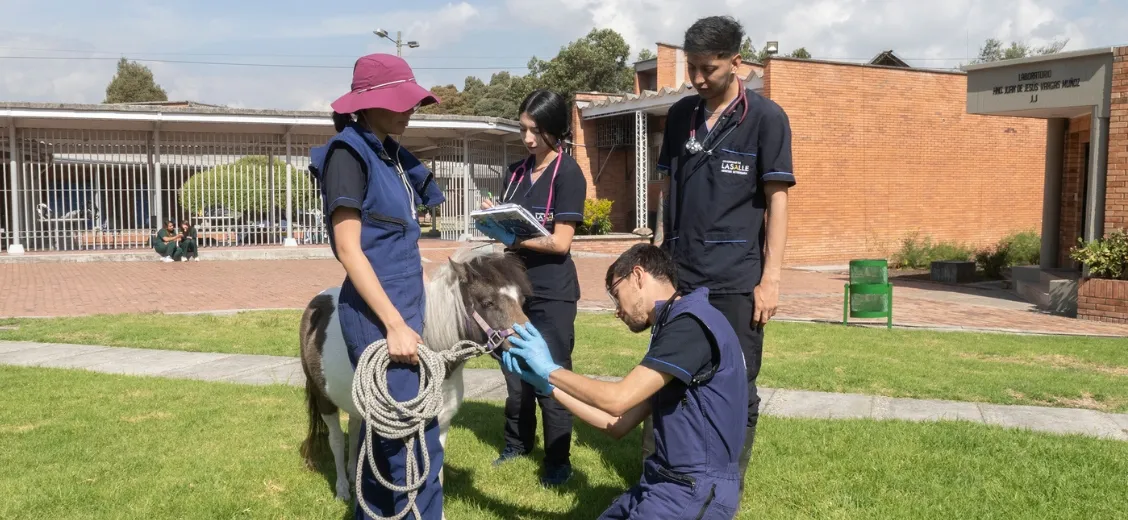 Clinica Veterinaria