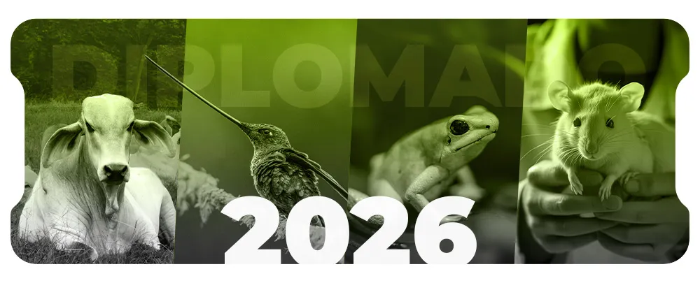 Diplomado en Comportamiento y Bienestar Animal Aplicados - 2026