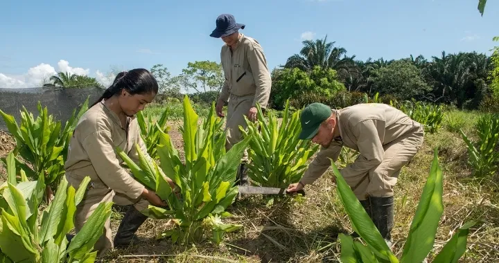 Estudiantes de ingeniería agronómica